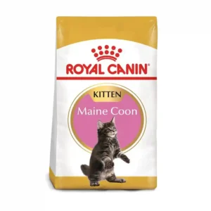 Royal Canine Maine Coon Kitten