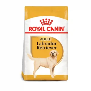 Royal Canin Labrador Retriever
