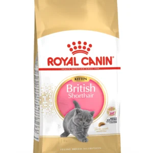 Royal Canin British Short Hair Kitten