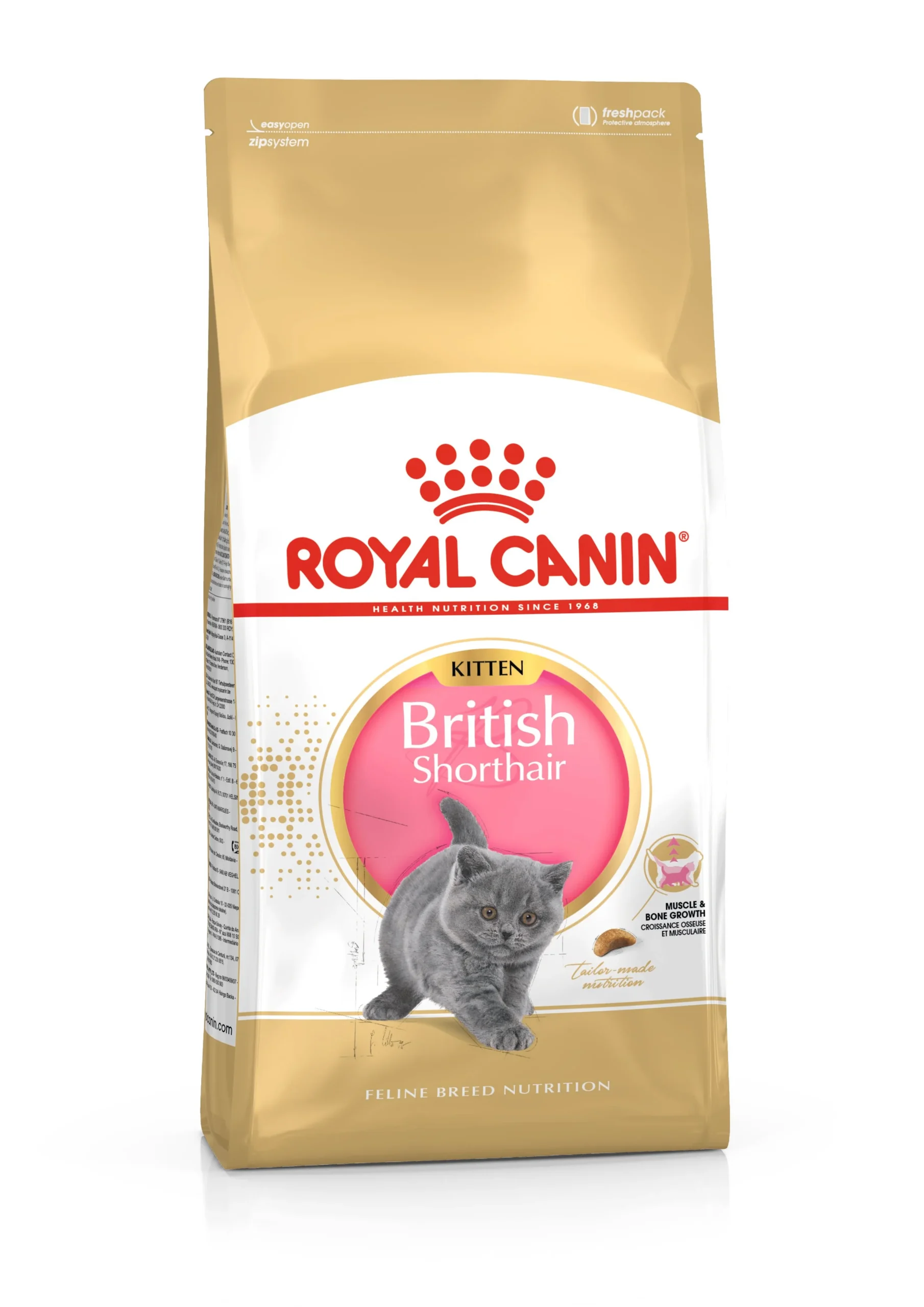 Royal Canin British Short Hair Kitten