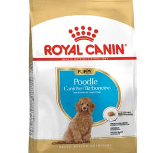 Royal Canin Poodle Puppy